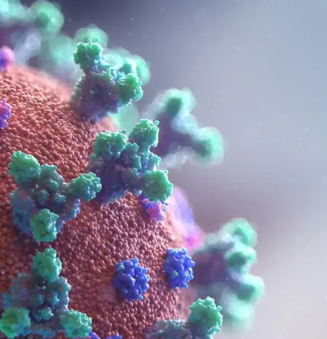 micro-organism